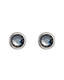 Bohemia Crystal Carlyn Surgical Steel Earrings with Preciosa Crystal - Chrome 7235 40 - 1/4