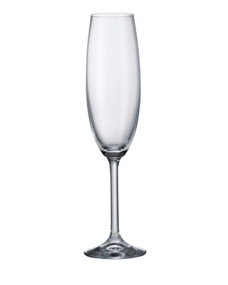 Bohemia Crystal Colibri champagne glass 220ml (set of 6pcs)