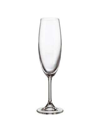 Bohemia Crystal Champagne glass Sylvia 220ml (set of 6)